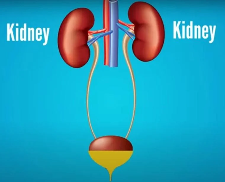 Early signs of prostate cancer including urinary changes and discomfort