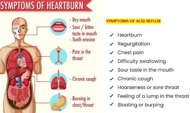 Heartburn watermelon
