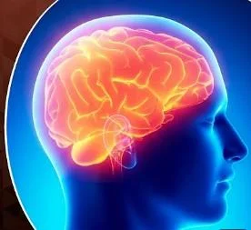Brain fog and cognitive effects of hyperthyroidism on memory and concentration
