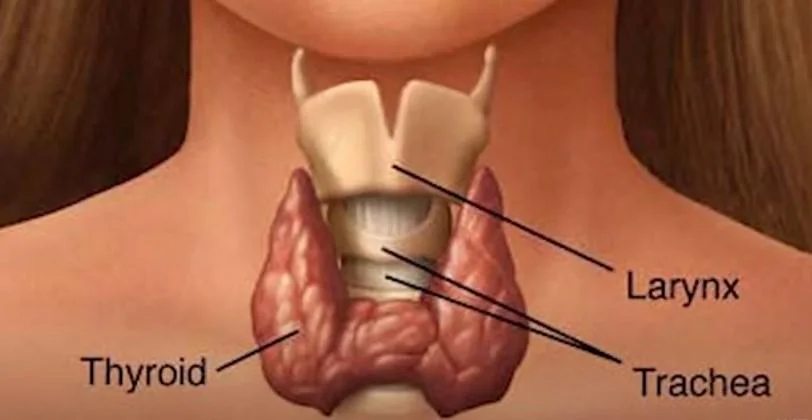 Comprehensive overview of thyroid disorder signs and when to seek help