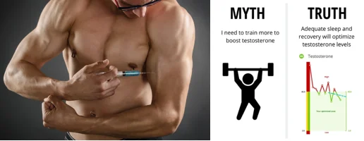 Muscle hormone