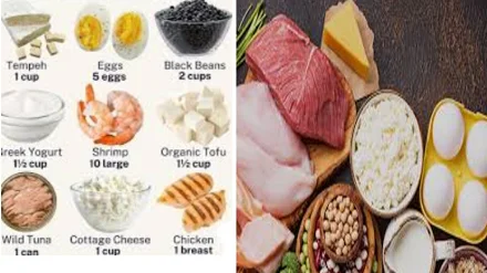 Protein rich foods