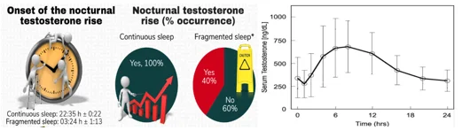 Sleep testosterone