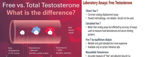 Testosterone lab test