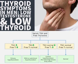 Thyroid panel
