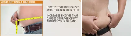 Visceral fat aromatase