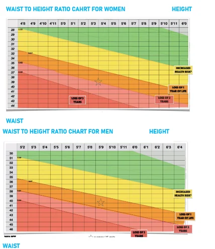 Waist to height ratio