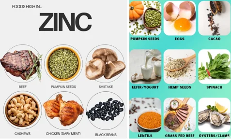 Zinc rich foods