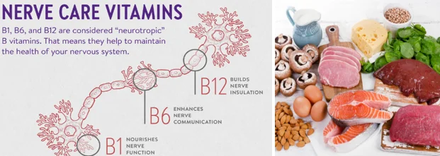 B vitamins nerve health seniors