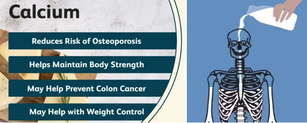 Calcium muscle contraction bones