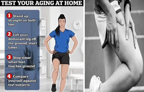 Leg muscle changes with aging