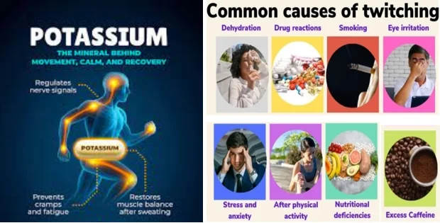 Potassium calms muscle twitching