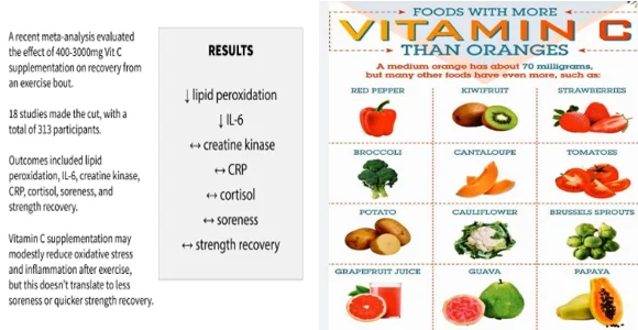 Vitamin C muscle recovery seniors