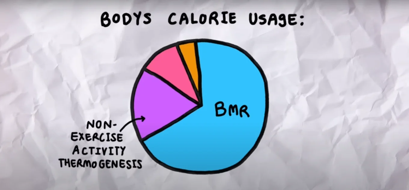 Office wellness program promoting weight loss and healthy habits