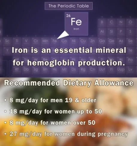 Dates aid iron absorption