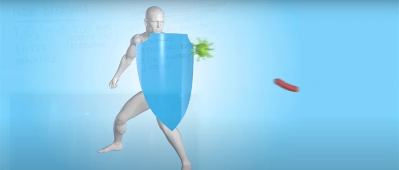 image5.png