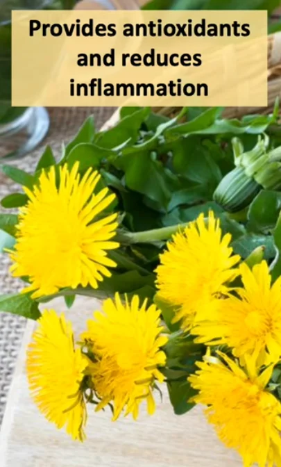 dandelion cancer cure - illustration 2