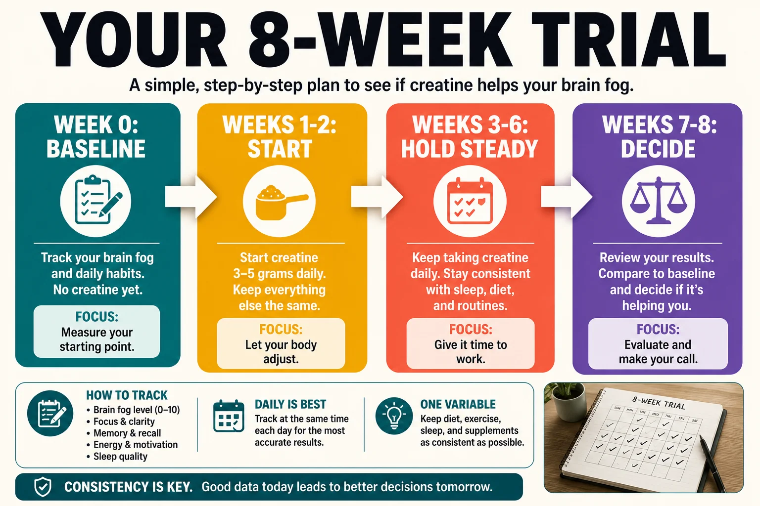 Eight week creatine trial plan from baseline to decision