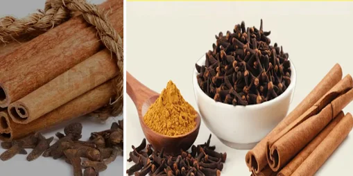 health benefits of cinnamon sticks and cloves - illustration 1