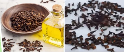 health benefits of cinnamon sticks and cloves - illustration 6