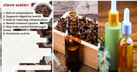 health benefits of cinnamon sticks and cloves - illustration 7