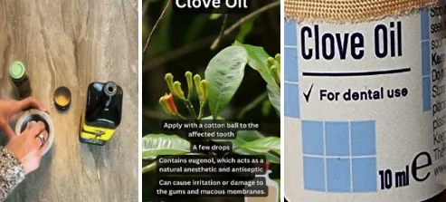 health benefits of cinnamon sticks and cloves - illustration 8