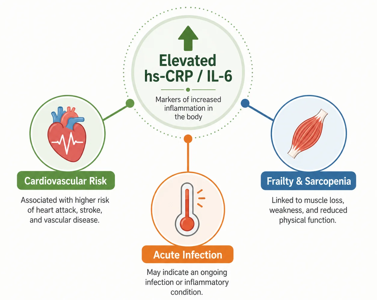 Infographic showing possible health causes of elevated hs-CRP and IL-6 after 60