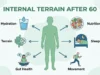 Internal terrain after 60 infographic showing hydration, nutrition, sleep, movement, stress regulation, and gut health
