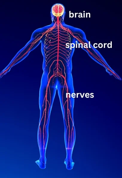 image2.png