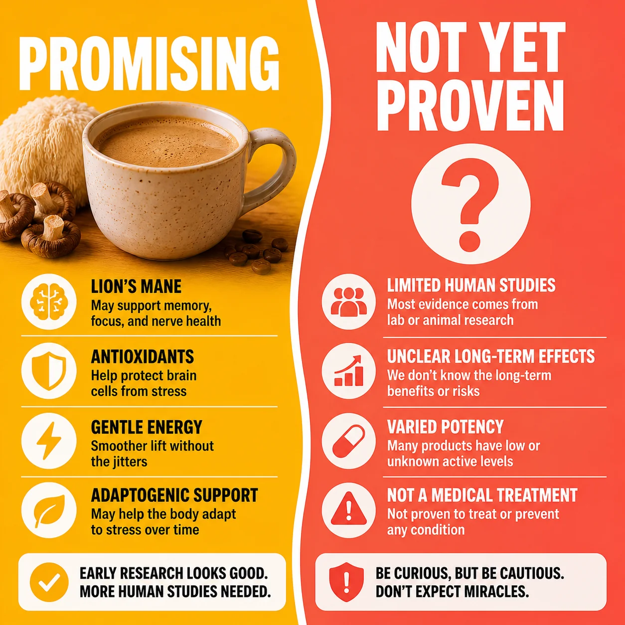 Mushroom coffee and lions mane are promising but not yet proven for memory