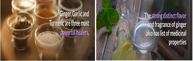 Fresh ginger root digestion and inflammation