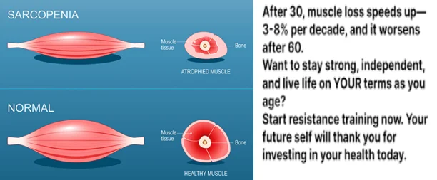 one food seniors need to stop muscle loss after 60 - illustration 2