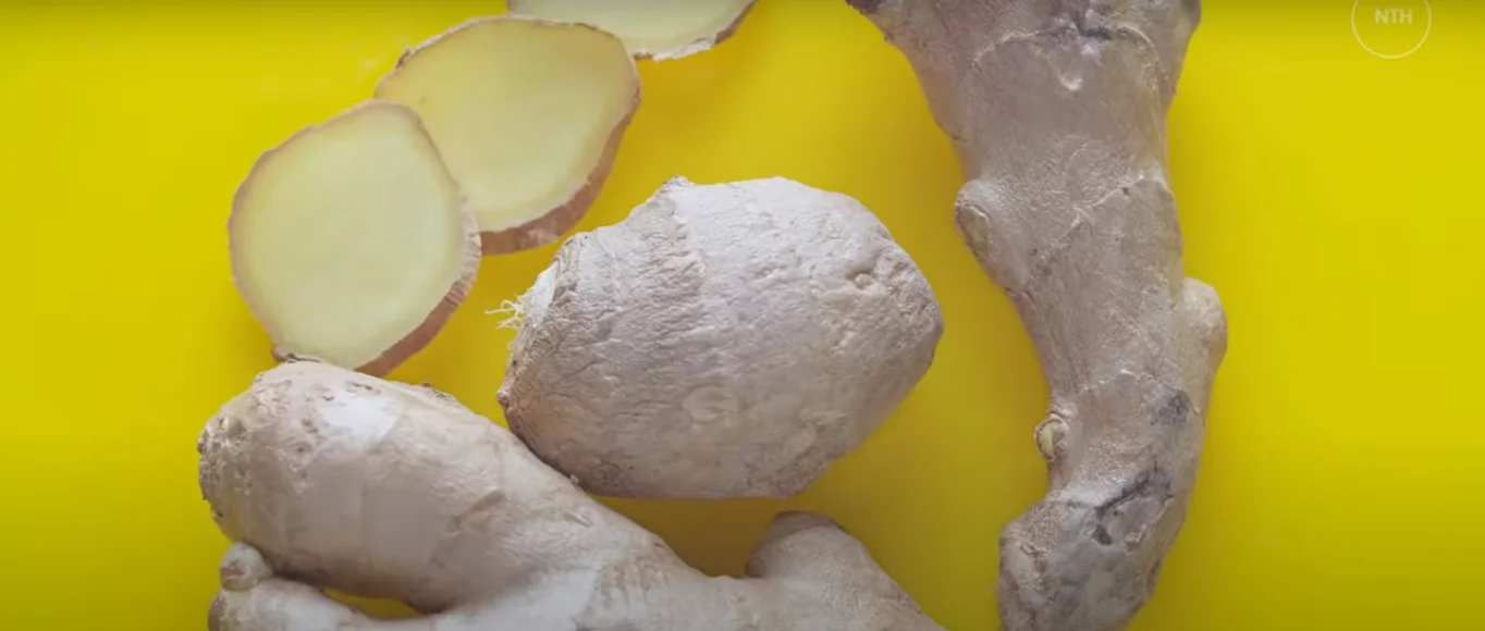 Fresh ginger root Zingiber officinale wellness