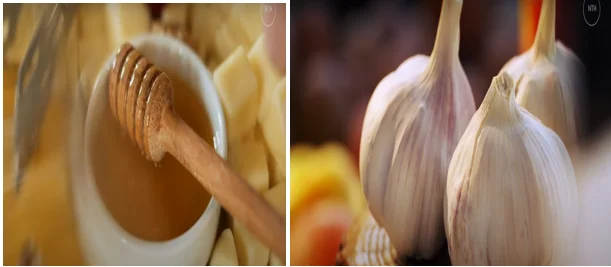 Garlic and honey immune boosting tonic
