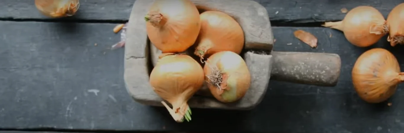 Onions quercetin antioxidants heart health