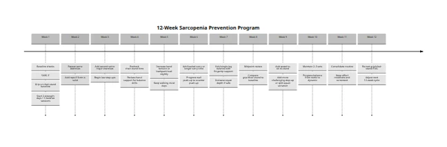 Twelve-week progressive strength and balance program to help older adults prevent sarcopenia