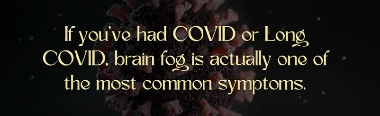 Chickpea chili brain fog fatigue energy