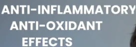 Curcumin active compound turmeric